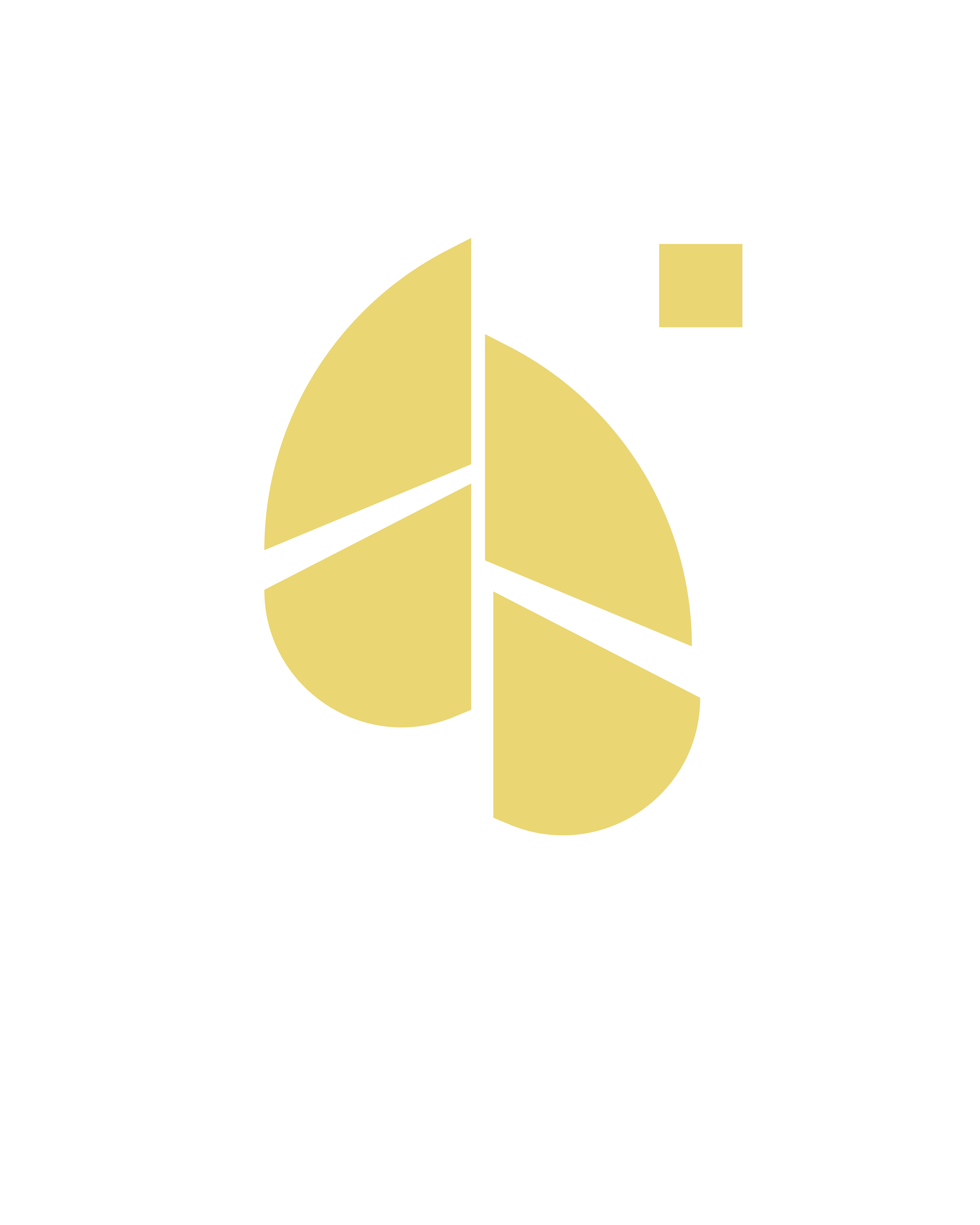 ITFamilyMedia